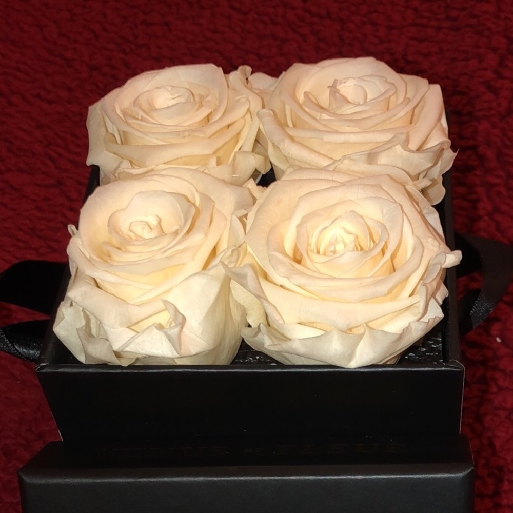 Meet your Posher, Sydney